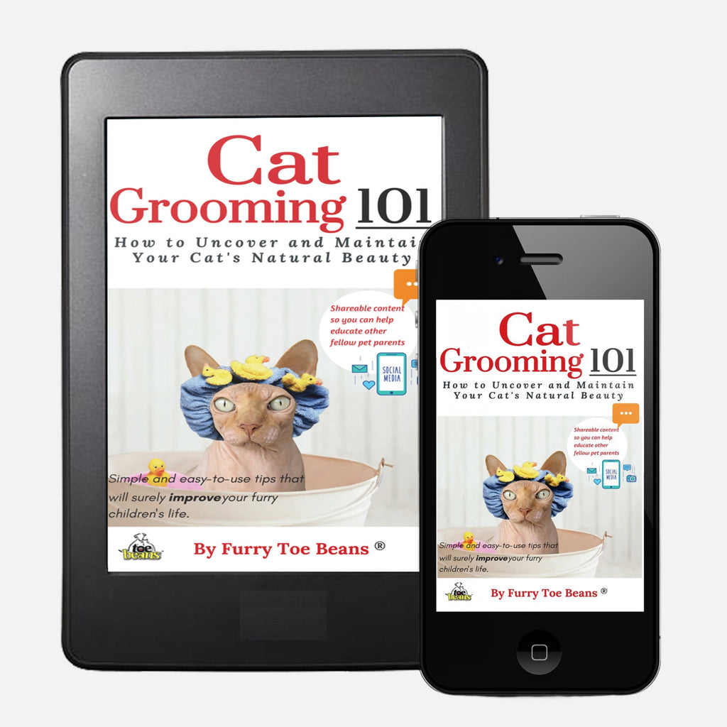 Buy Cat Grooming 101 E Book A Great Family Read toe beans