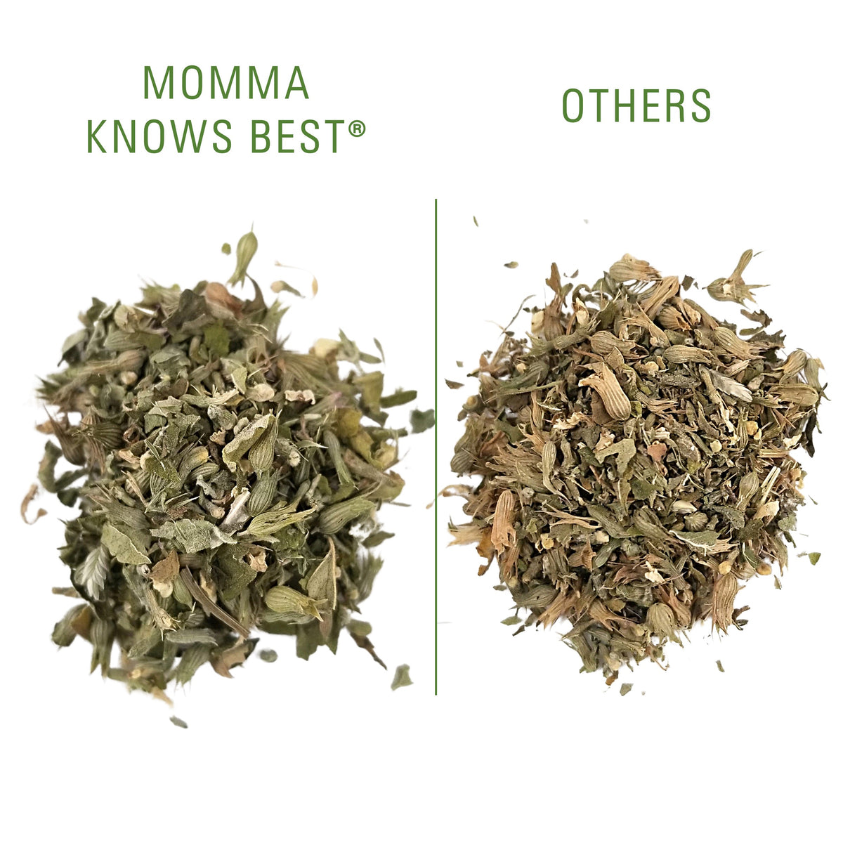 Catnip for cats, grown in the US