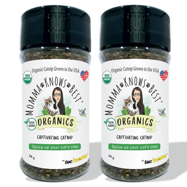 Shop Nontoxic and Safe Cat Toys toe beans