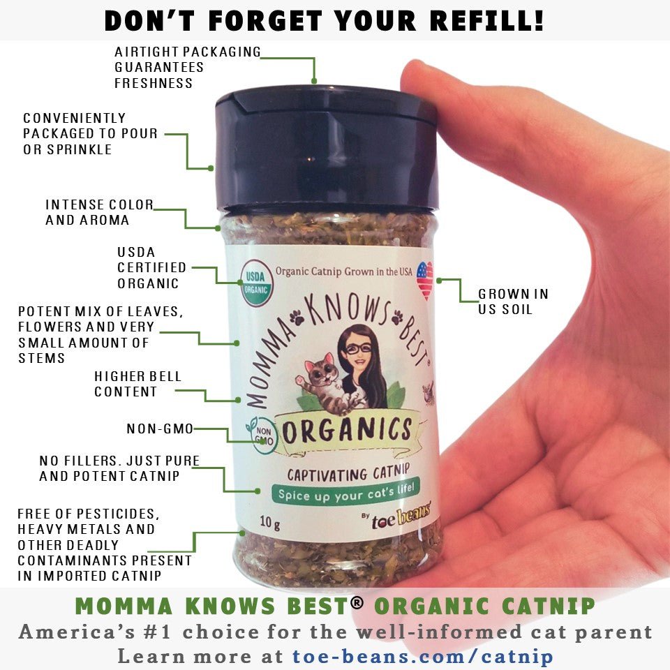 Catnip_USDA_Organic_by Momme Knows Best