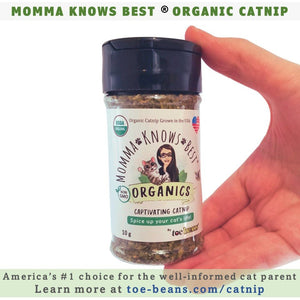 Catnip_USDA_Organic_by_Momma_Knows_Best
