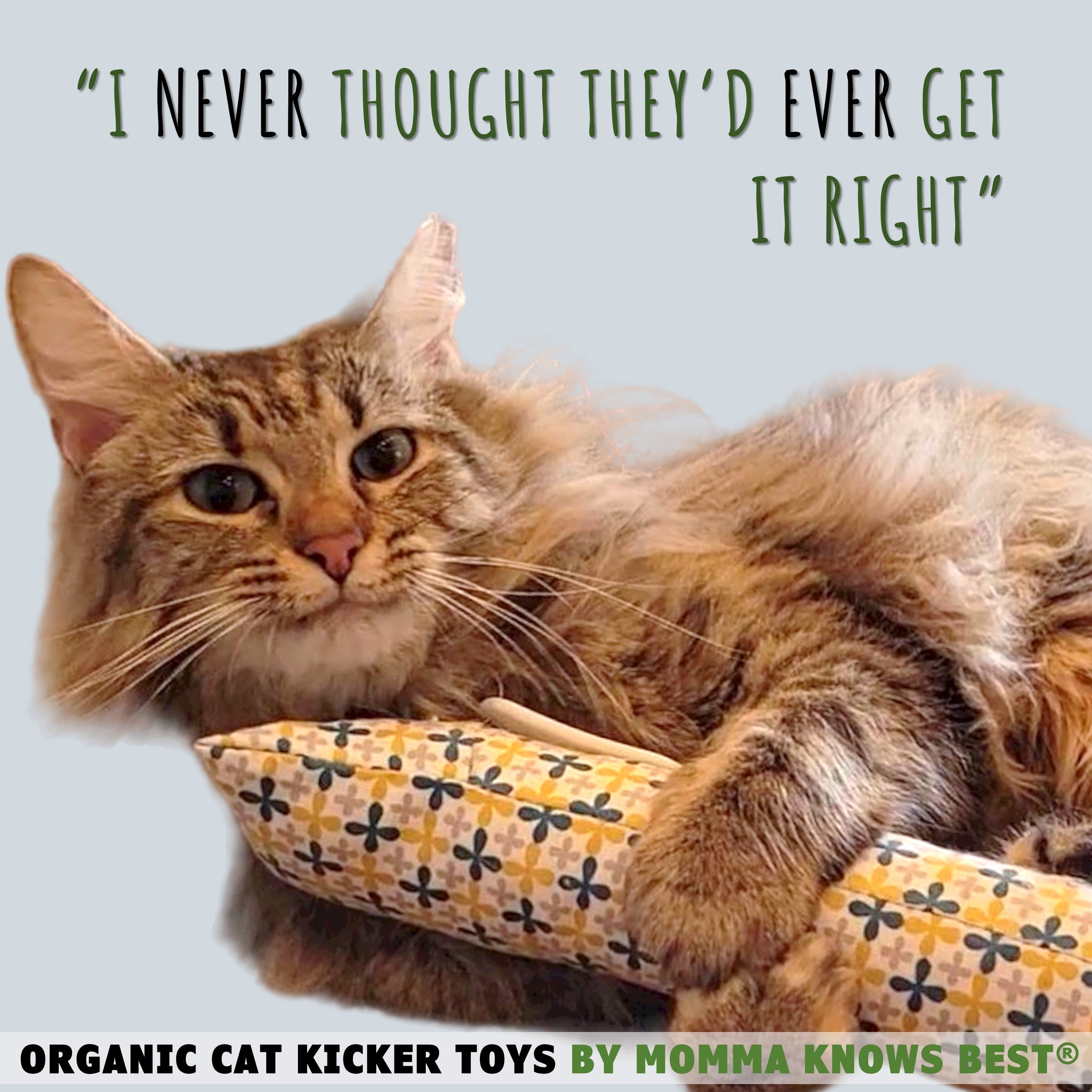 Cat Kicker Toy Organic Handmade in The USA toe beans