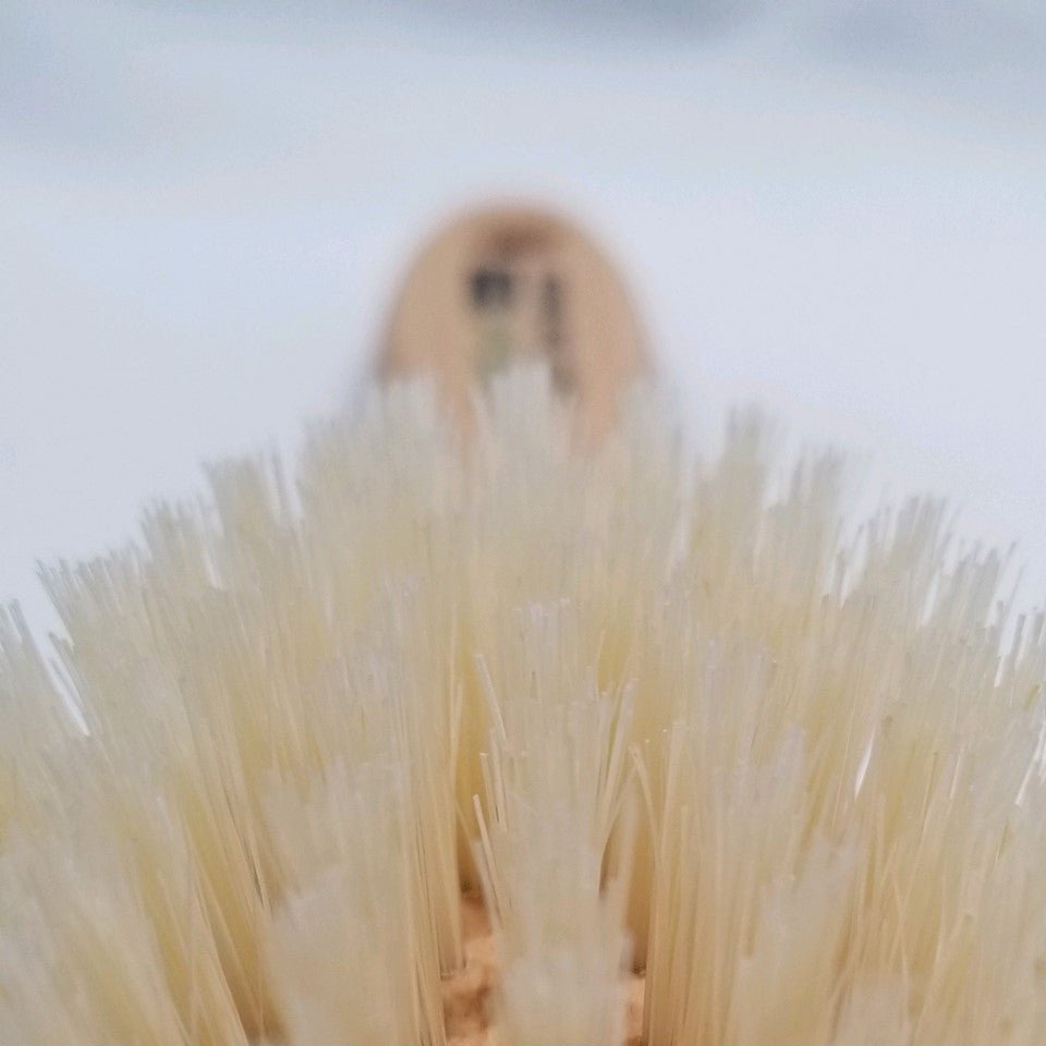 Cat Brush with tampico fiber bristles, made in Germany for toe beans