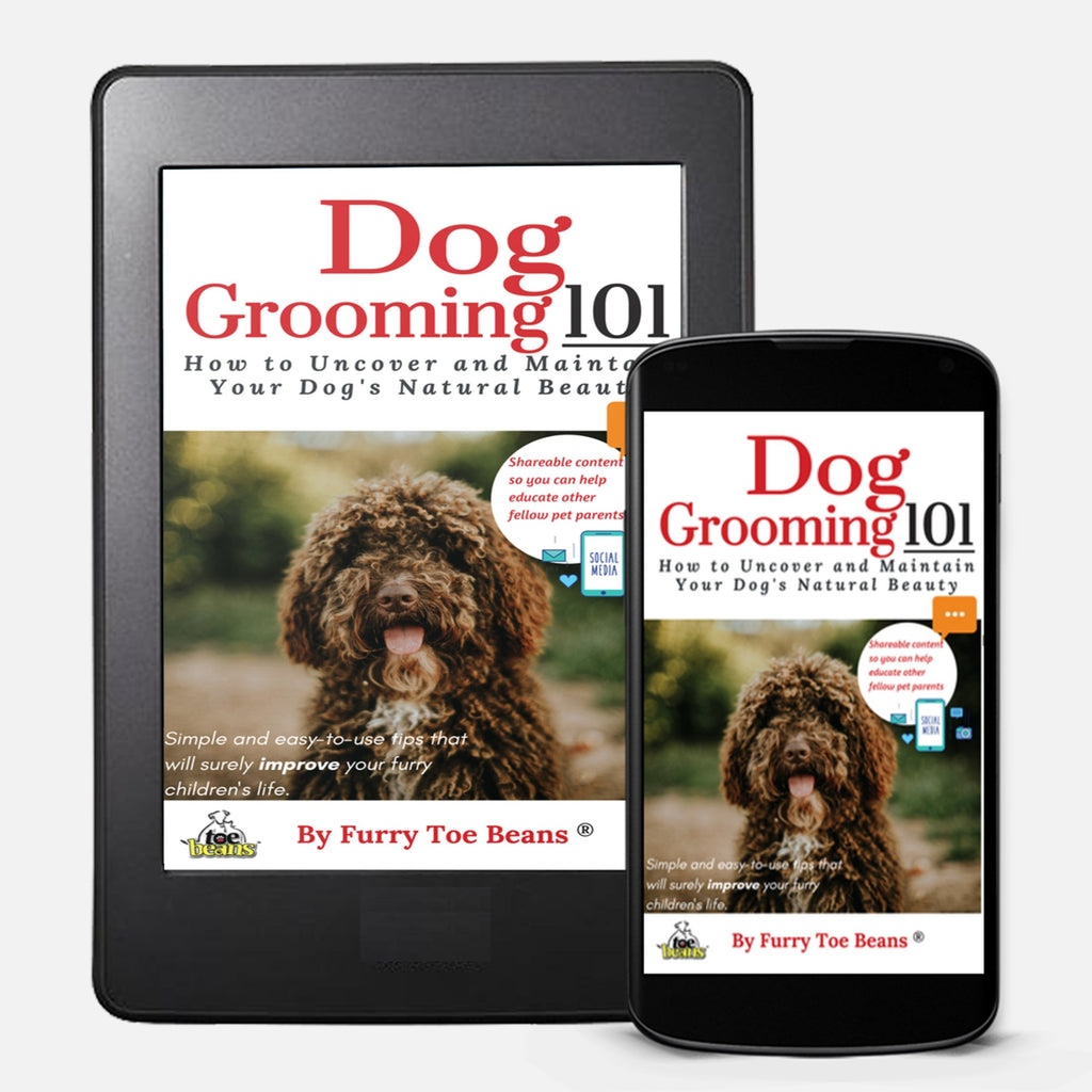Buy Dog Grooming 101 eBook A Family's Must Read toe beans