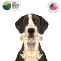 Dog Rope Toy | 4-Knotter