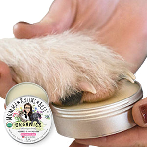 Organic dog paw balms hydrate & soothe by Momma Knows Best