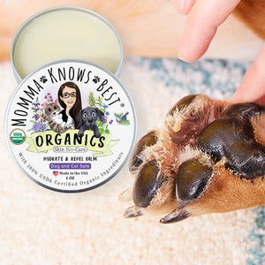 dog paw being moisturized with dog paw balm by momma knows best
