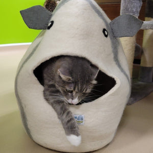 The Snugloo Blowfish felt cat cave with cat coming out by toe beans
